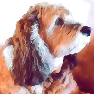 Meet your Posher, Barbara